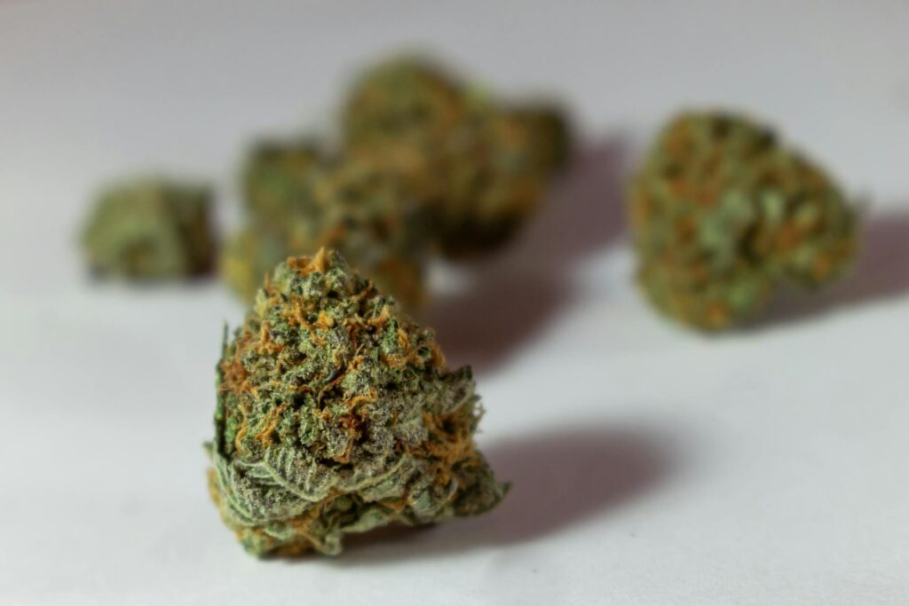 how a Cannabis Producer Boosts Productivity Without Sacrificing Quality